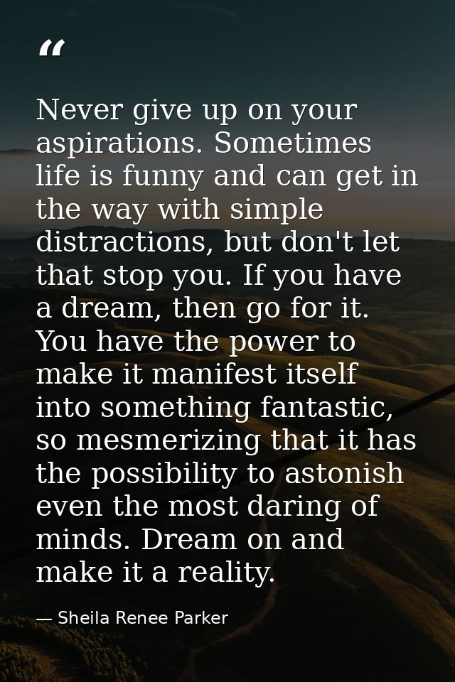 Never give up on your aspirations. Sometimes life is funny and can get in the way with simple distractions, but don't le — Sheila Renee Parker
