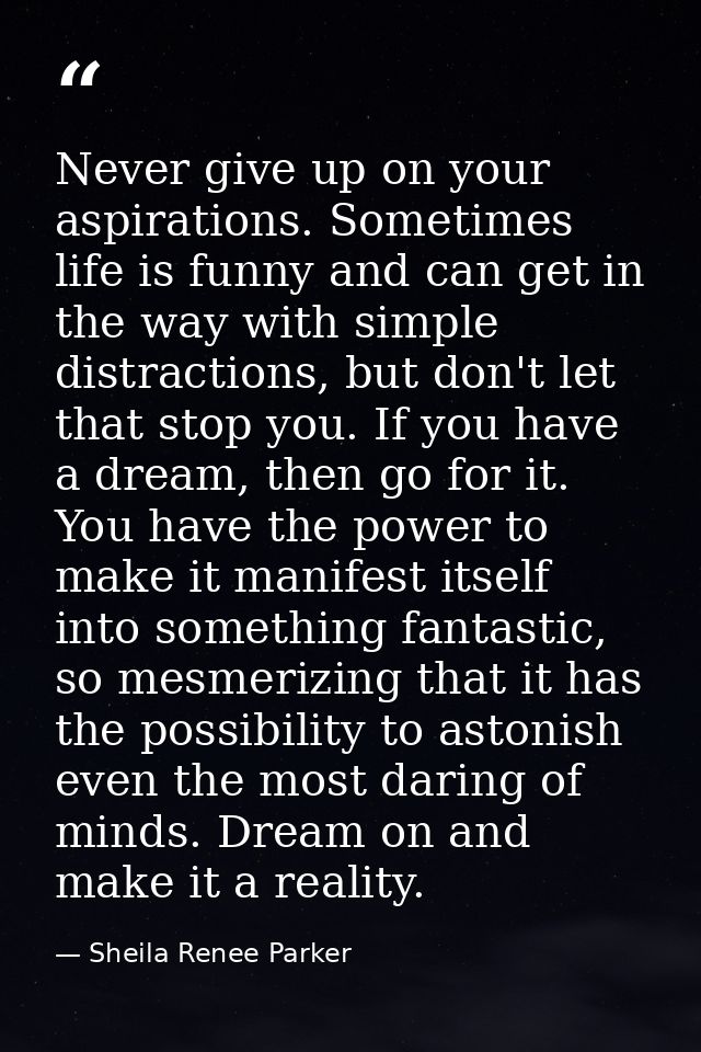 Never give up on your aspirations. Sometimes life is funny and can get in the way with simple distractions, but don't le — Sheila Renee Parker