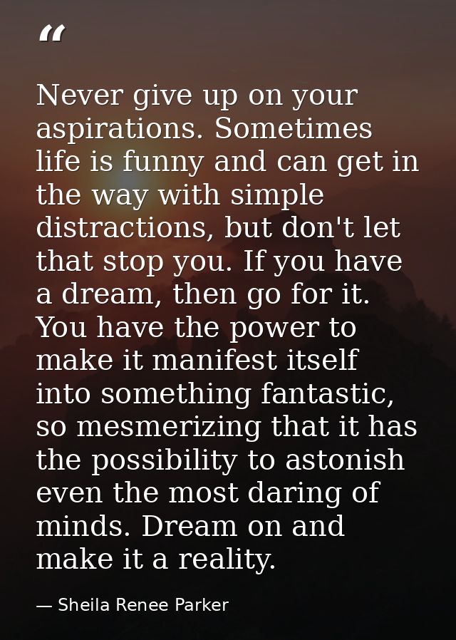 Never give up on your aspirations. Sometimes life is funny and can get in the way with simple distractions, but don't le — Sheila Renee Parker