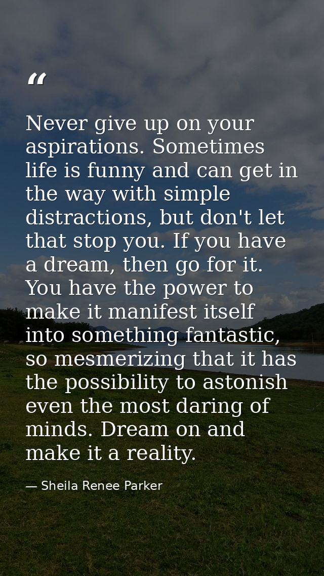 Never give up on your aspirations. Sometimes life is funny and can get in the way with simple distractions, but don't le — Sheila Renee Parker