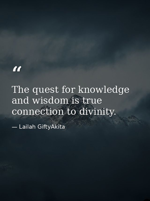 The quest for knowledge and wisdom is true connection to divinity. — Lailah GiftyAkita