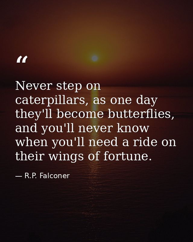 Never step on caterpillars, as one day they'll become butterflies, and you'll never know when you'll need a ride on thei — R.P. Falconer
