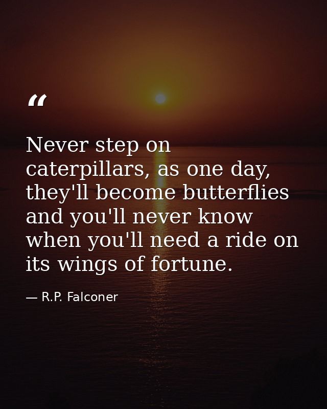 Never step on caterpillars, as one day, they'll become butterflies and you'll never know when you'll need a ride on its  — R.P. Falconer