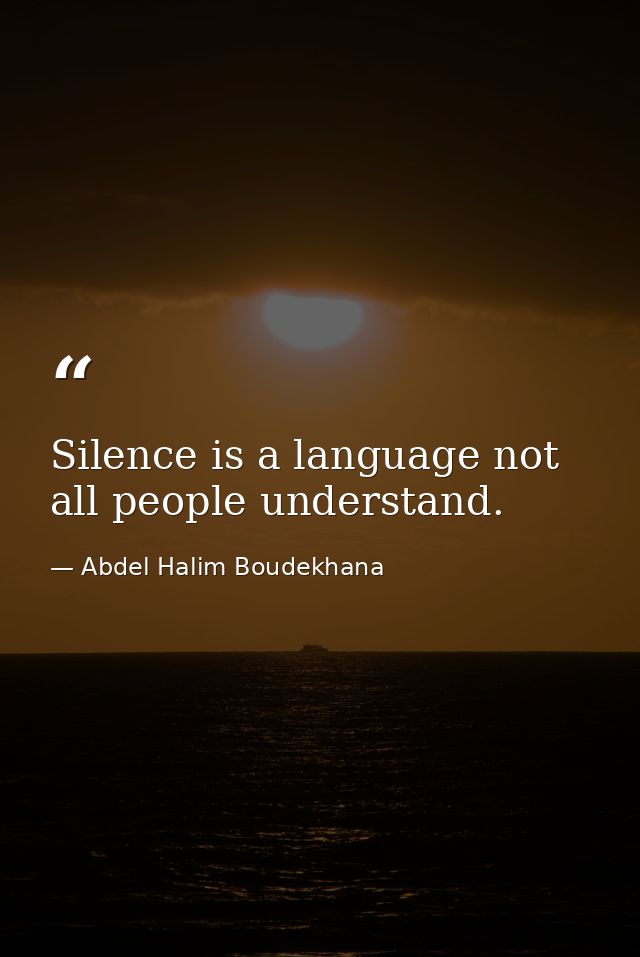 Silence is a language not all people understand. — Abdel Halim Boudekhana