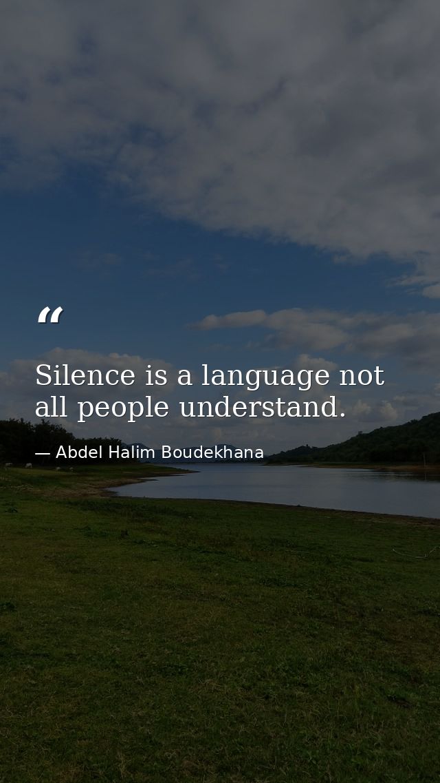Silence is a language not all people understand. — Abdel Halim Boudekhana
