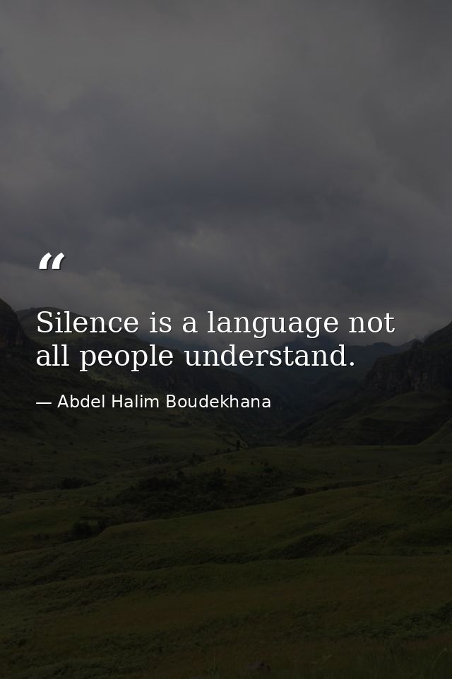 Silence is a language not all people understand. — Abdel Halim Boudekhana
