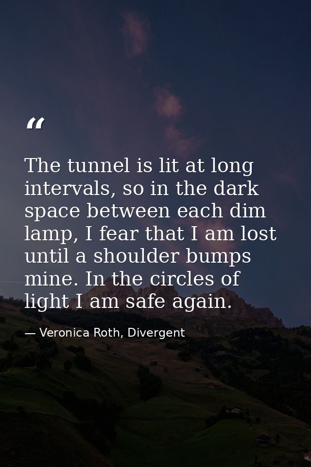 The tunnel is lit at long intervals, so in the dark space between each dim lamp, I fear that I am lost until a shoulder  — Veronica Roth, Divergent