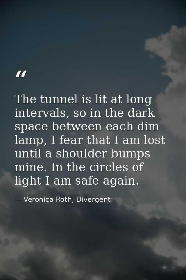 The tunnel is lit at long intervals, so in the dark space between each dim lamp, I fear that I am lost until a shoulder  — Veronica Roth, Divergent