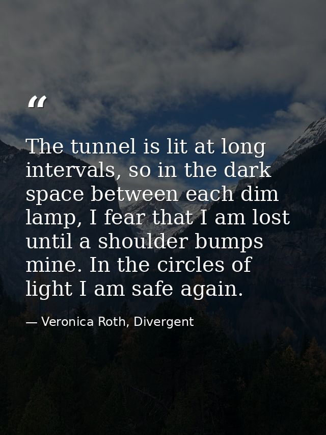 The tunnel is lit at long intervals, so in the dark space between each dim lamp, I fear that I am lost until a shoulder  — Veronica Roth, Divergent