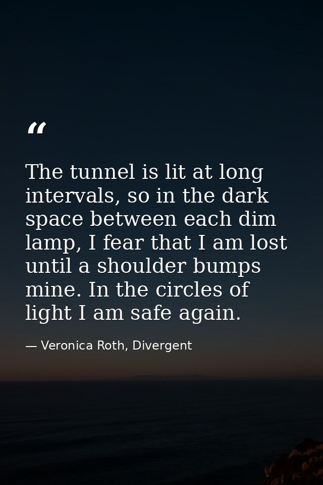 The tunnel is lit at long intervals, so in the dark space between each dim lamp, I fear that I am lost until a shoulder  — Veronica Roth, Divergent