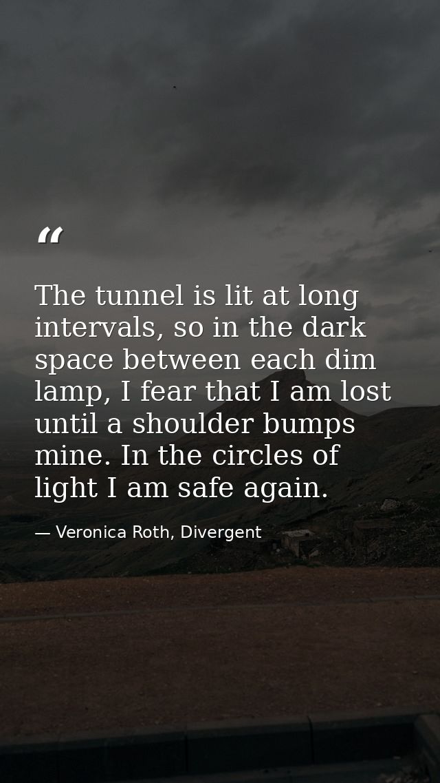 The tunnel is lit at long intervals, so in the dark space between each dim lamp, I fear that I am lost until a shoulder  — Veronica Roth, Divergent