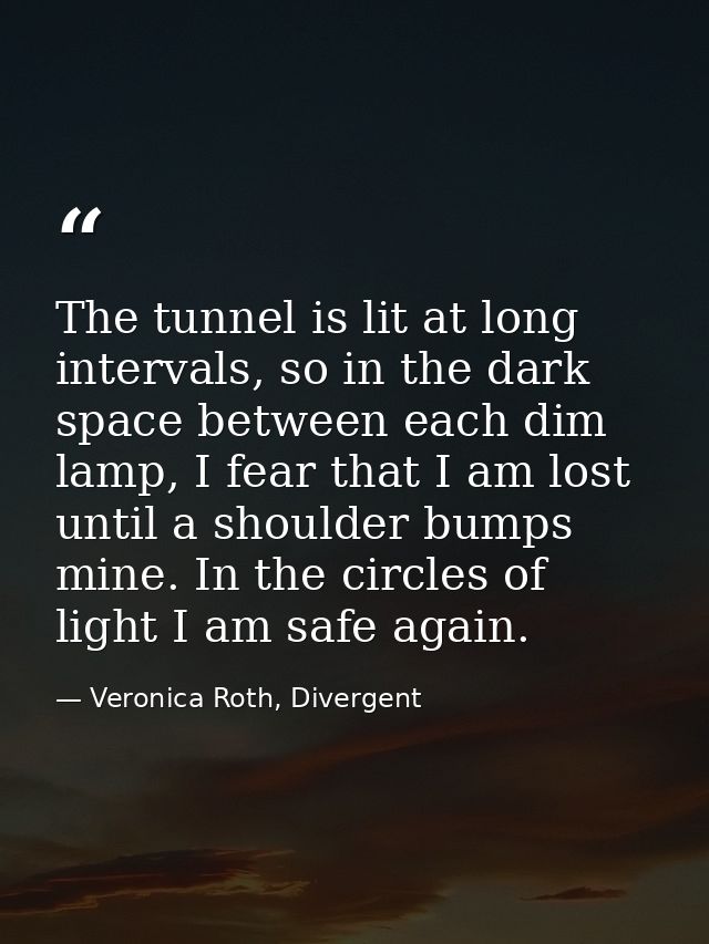 The tunnel is lit at long intervals, so in the dark space between each dim lamp, I fear that I am lost until a shoulder  — Veronica Roth, Divergent