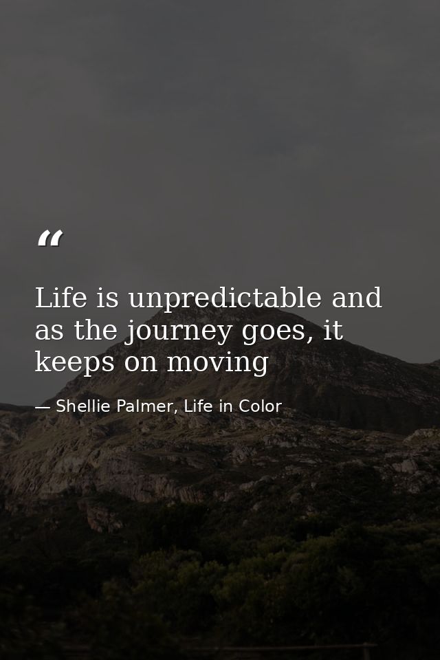 Life is unpredictable and as the journey goes, it keeps on moving — Shellie Palmer, Life in Color