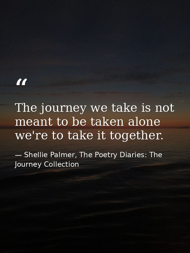 The journey we take is not meant to be taken alone we're to take it together. — Shellie Palmer, The Poetry Diaries: The Journey Collection
