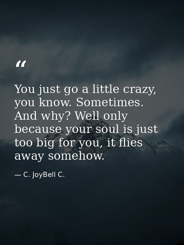 You just go a little crazy, you know. Sometimes. And why? Well only because your soul is just too big for you, it flies  — C. JoyBell C.