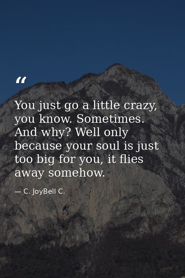 You just go a little crazy, you know. Sometimes. And why? Well only because your soul is just too big for you, it flies  — C. JoyBell C.