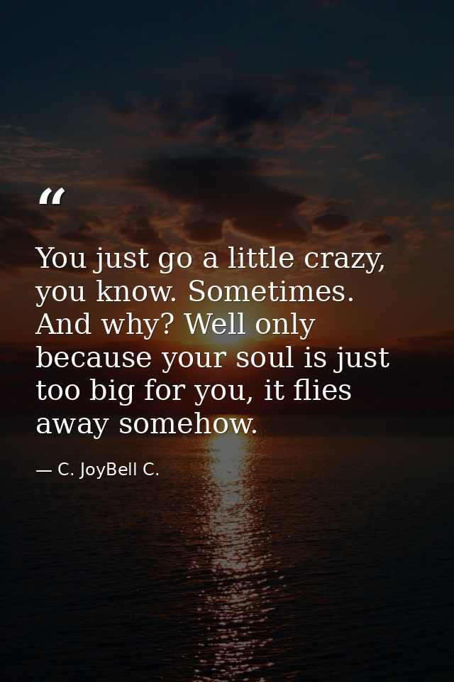 You just go a little crazy, you know. Sometimes. And why? Well only because your soul is just too big for you, it flies  — C. JoyBell C.
