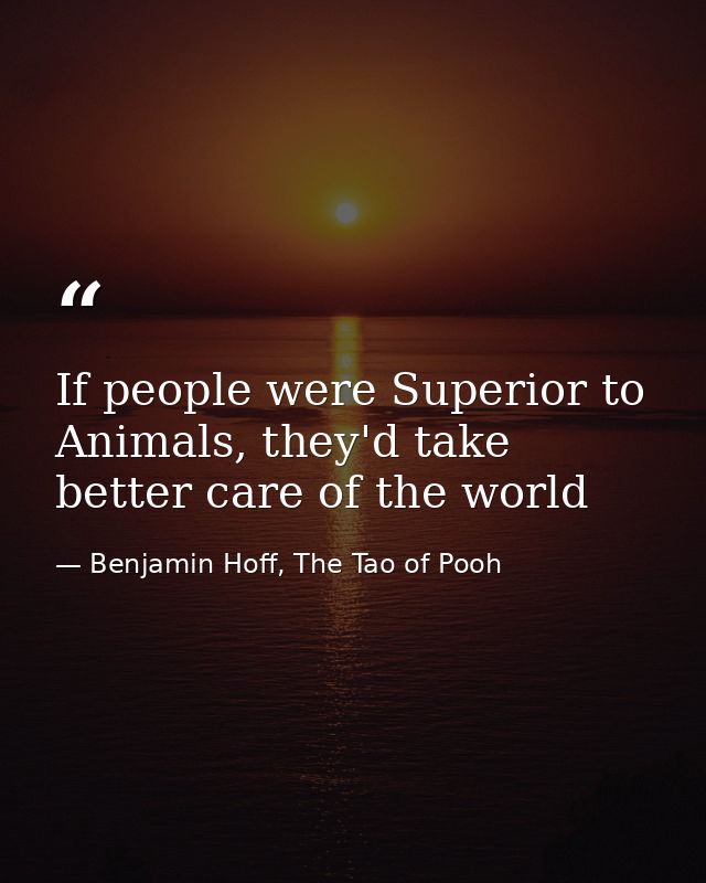 If people were Superior to Animals, they'd take better care of the world — Benjamin Hoff, The Tao of Pooh