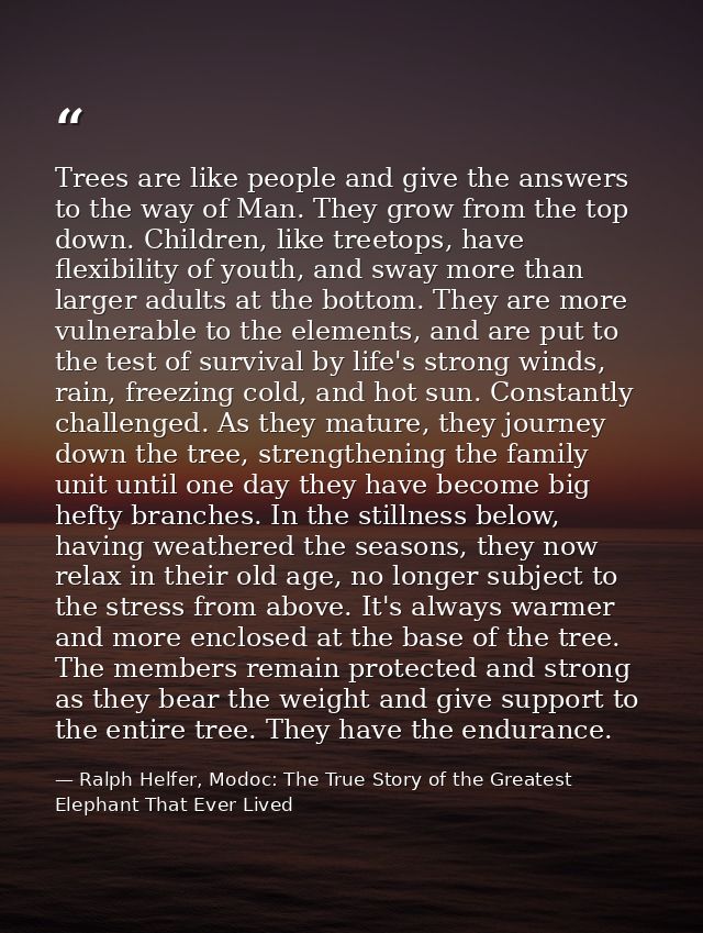 Trees are like people and give the answers to the way of Man. They grow from the top down. Children, like treetops, have — Ralph Helfer, Modoc: The True Story of the Greatest Elephant That Ever Lived