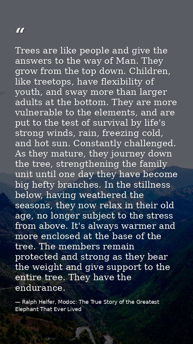 Trees are like people and give the answers to the way of Man. They grow from the top down. Children, like treetops, have — Ralph Helfer, Modoc: The True Story of the Greatest Elephant That Ever Lived