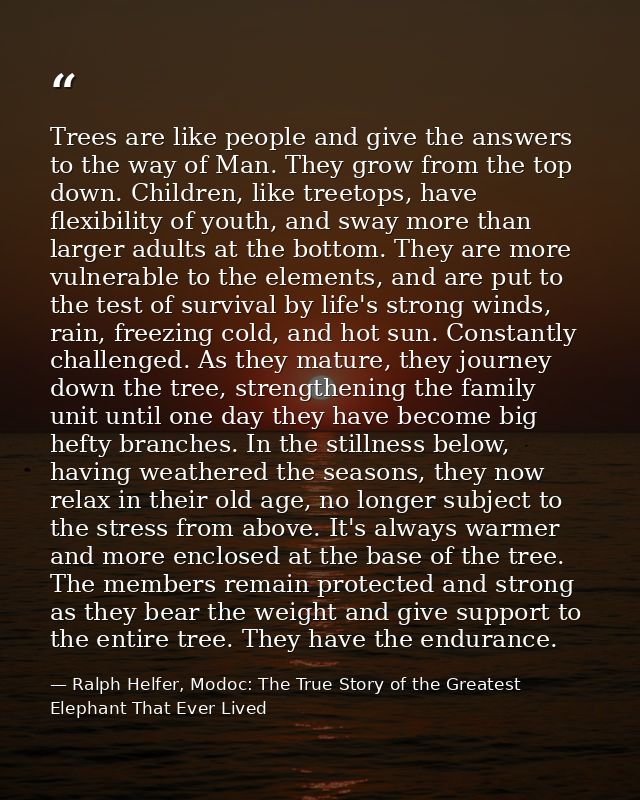 Trees are like people and give the answers to the way of Man. They grow from the top down. Children, like treetops, have — Ralph Helfer, Modoc: The True Story of the Greatest Elephant That Ever Lived