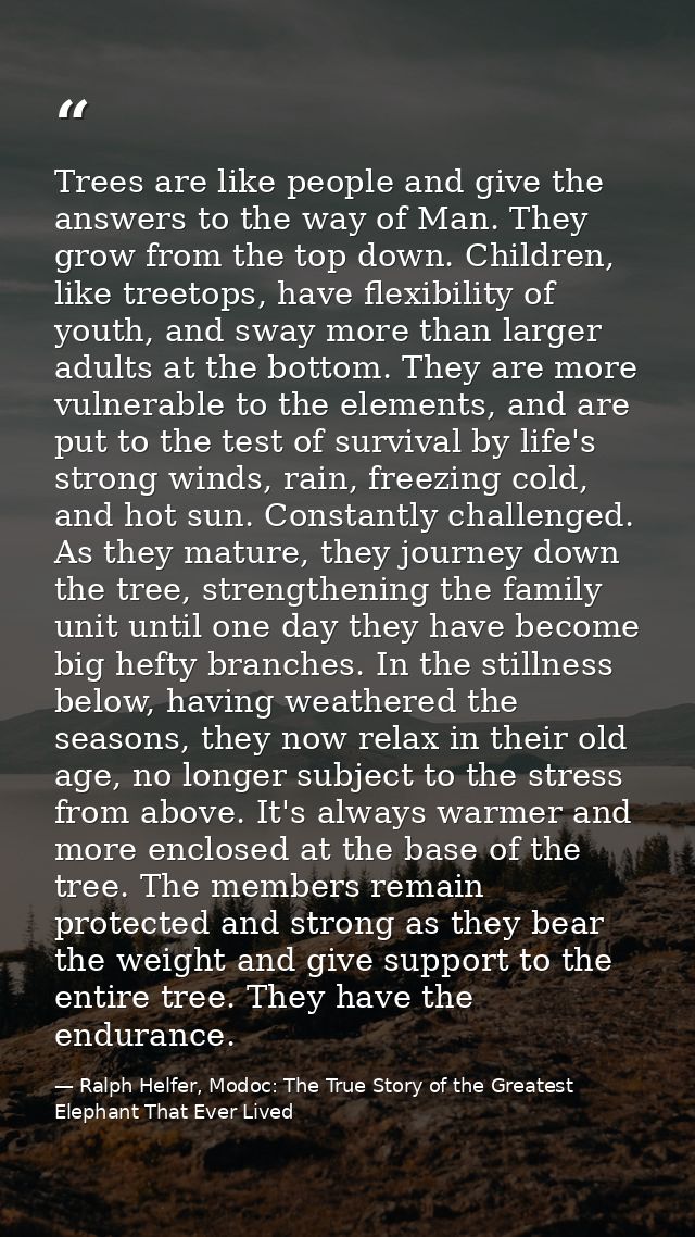 Trees are like people and give the answers to the way of Man. They grow from the top down. Children, like treetops, have — Ralph Helfer, Modoc: The True Story of the Greatest Elephant That Ever Lived