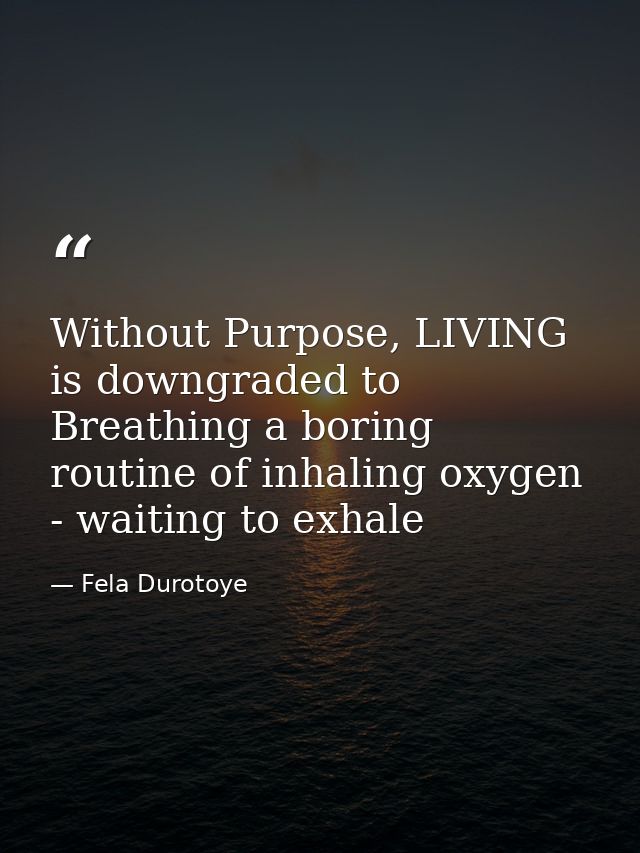 Without Purpose, LIVING is downgraded to Breathing a boring routine of inhaling oxygen - waiting to exhale — Fela Durotoye