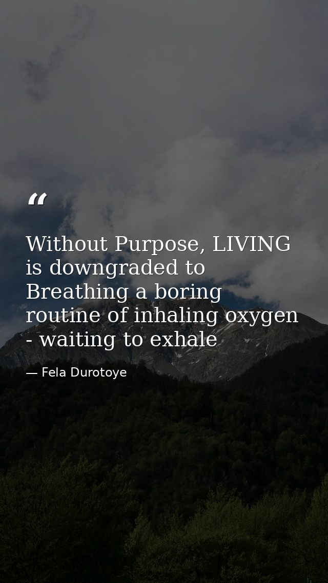 Without Purpose, LIVING is downgraded to Breathing a boring routine of inhaling oxygen - waiting to exhale — Fela Durotoye