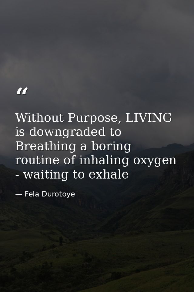 Without Purpose, LIVING is downgraded to Breathing a boring routine of inhaling oxygen - waiting to exhale — Fela Durotoye