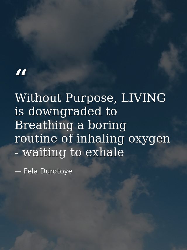 Without Purpose, LIVING is downgraded to Breathing a boring routine of inhaling oxygen - waiting to exhale — Fela Durotoye
