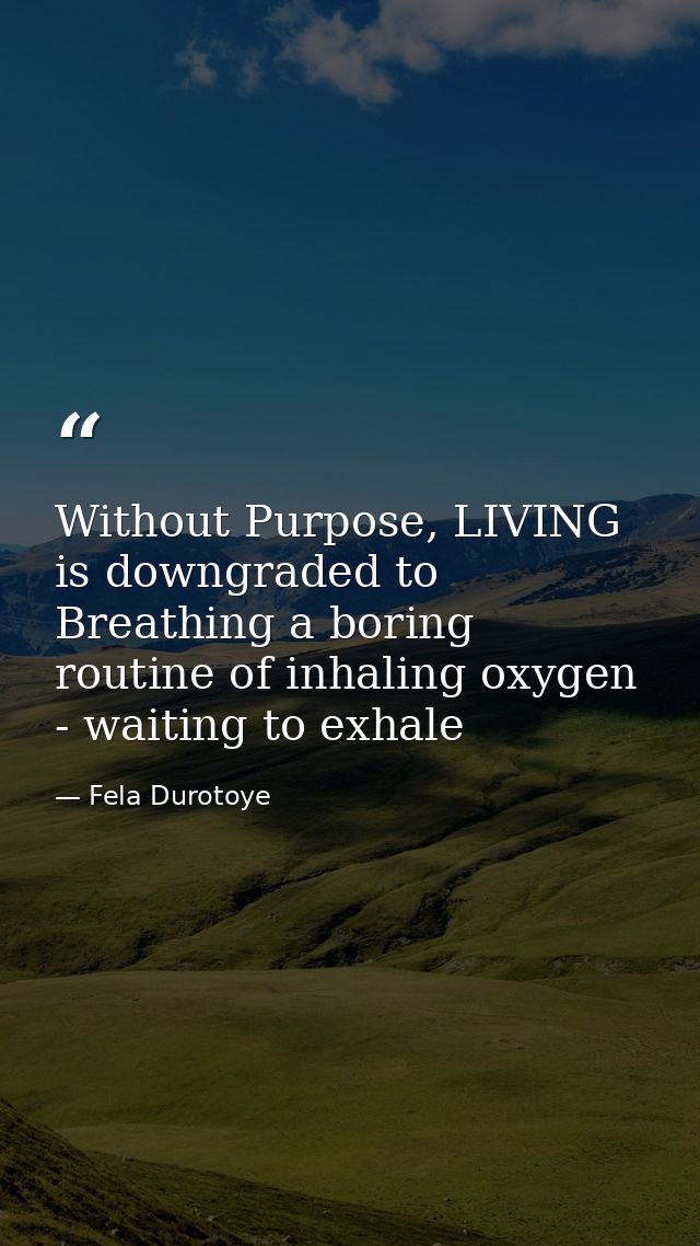 Without Purpose, LIVING is downgraded to Breathing a boring routine of inhaling oxygen - waiting to exhale — Fela Durotoye