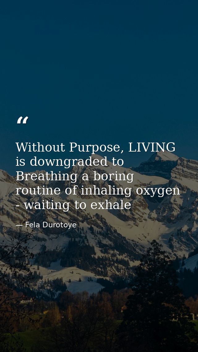 Without Purpose, LIVING is downgraded to Breathing a boring routine of inhaling oxygen - waiting to exhale — Fela Durotoye