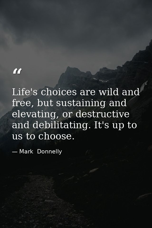 Life's choices are wild and free, but sustaining and elevating, or destructive and debilitating. It's up to us to choose — Mark  Donnelly