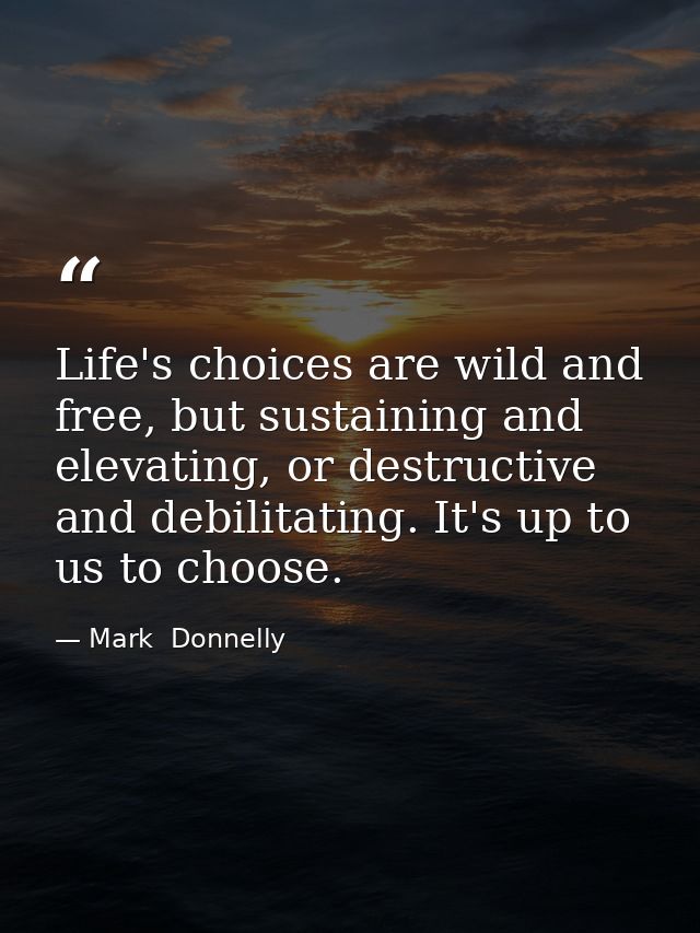 Life's choices are wild and free, but sustaining and elevating, or destructive and debilitating. It's up to us to choose — Mark  Donnelly