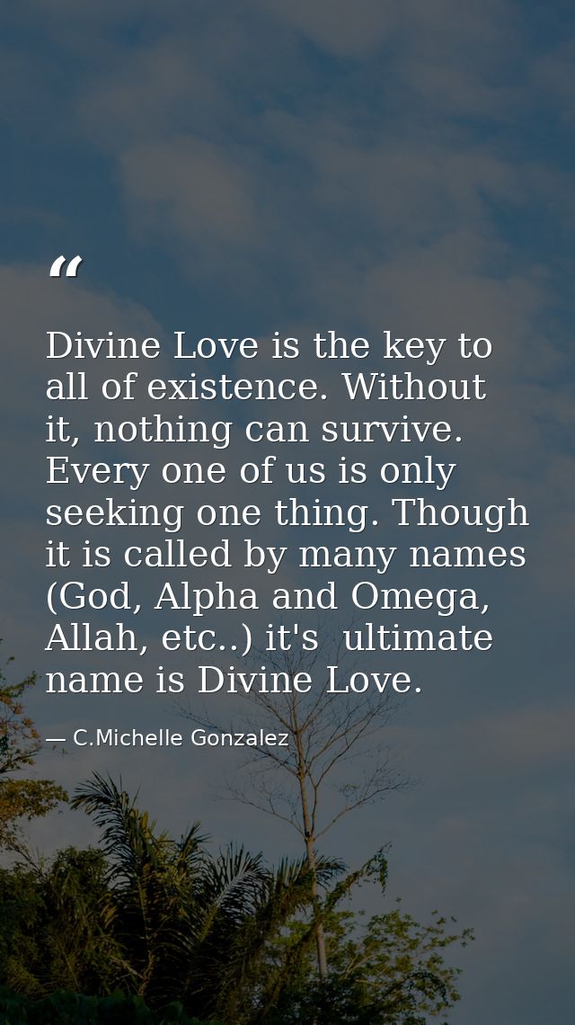 Divine Love is the key to all of existence. Without it, nothing can survive. Every one of us is only seeking one thing.  — C.Michelle Gonzalez