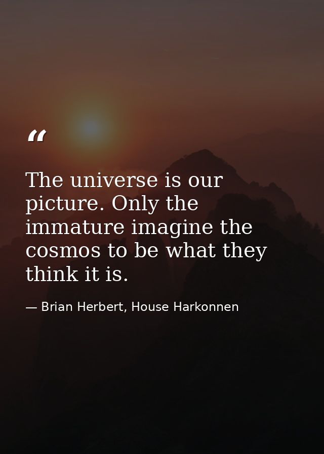 The universe is our picture. Only the immature imagine the cosmos to be what they think it is. — Brian Herbert, House Harkonnen