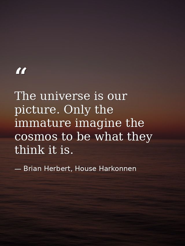 The universe is our picture. Only the immature imagine the cosmos to be what they think it is. — Brian Herbert, House Harkonnen