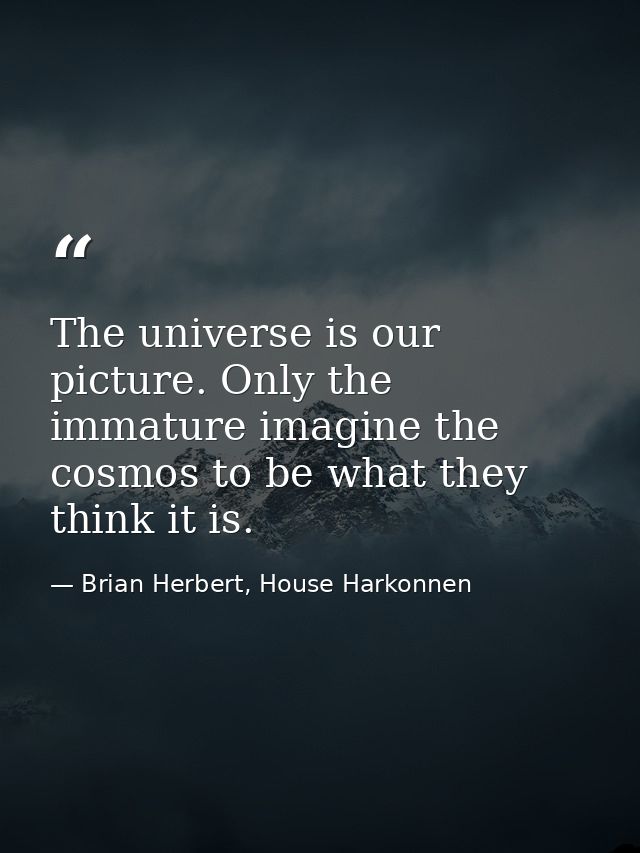 The universe is our picture. Only the immature imagine the cosmos to be what they think it is. — Brian Herbert, House Harkonnen