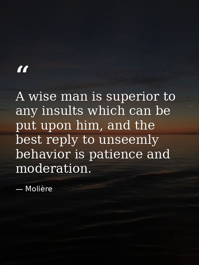 A wise man is superior to any insults which can be put upon him, and the best reply to unseemly behavior is patience and — Molière