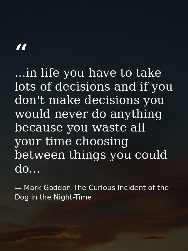 ...in life you have to take lots of decisions and if you don't make decisions you would never do anything because you wa — Mark Gaddon The Curious Incident of the Dog in the Night-Time