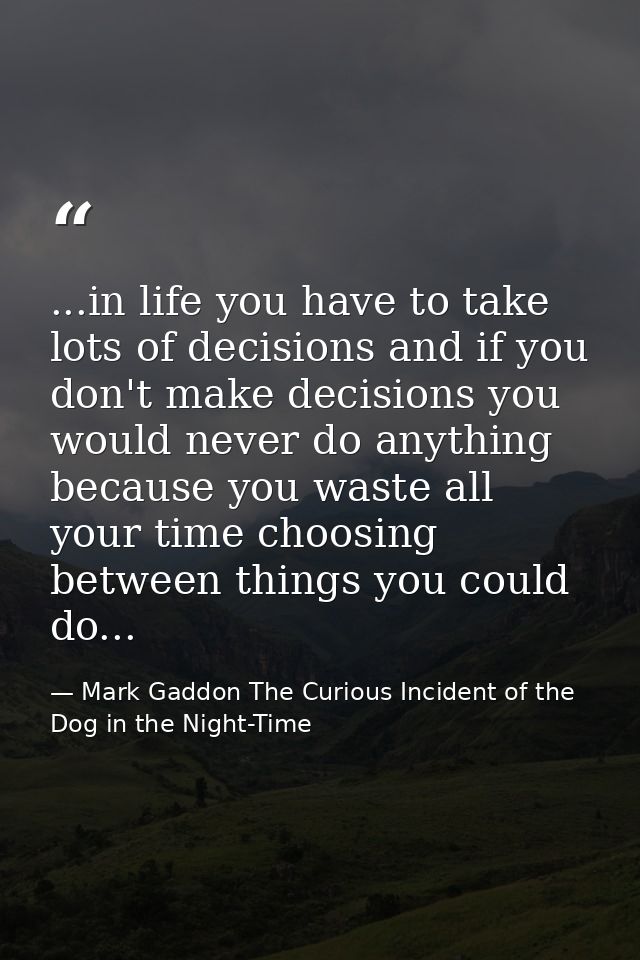 ...in life you have to take lots of decisions and if you don't make decisions you would never do anything because you wa — Mark Gaddon The Curious Incident of the Dog in the Night-Time