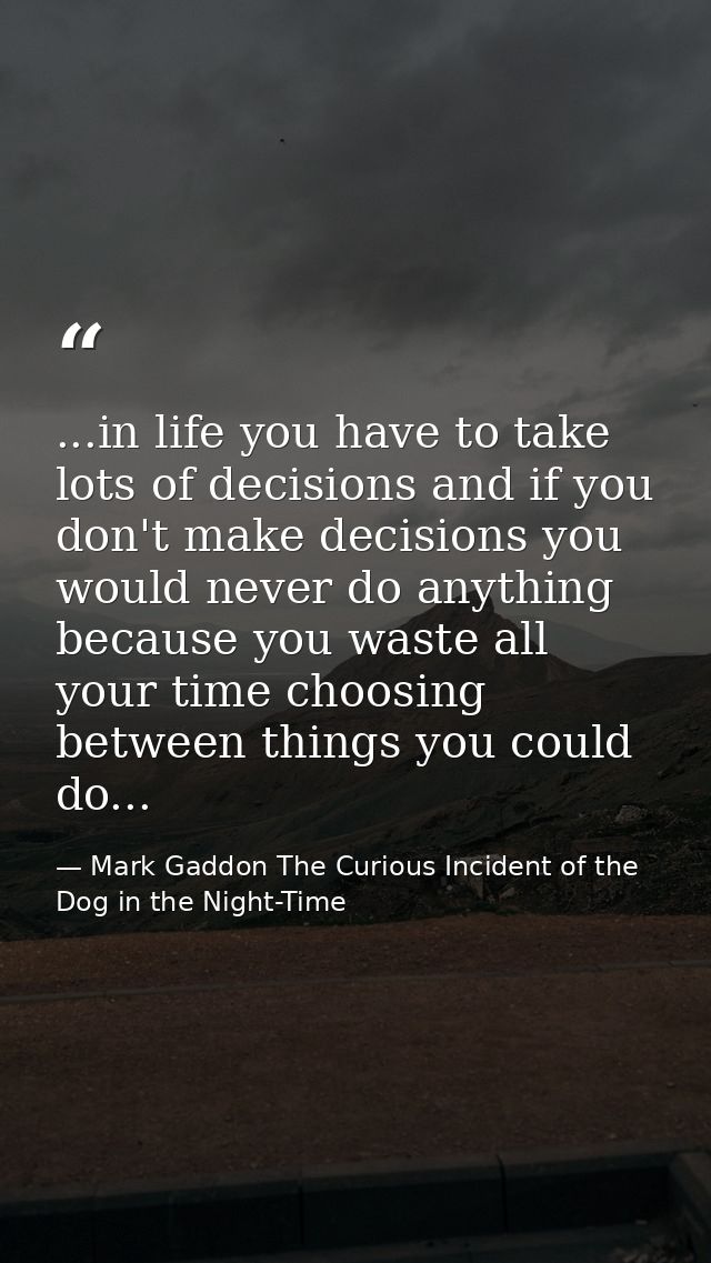 ...in life you have to take lots of decisions and if you don't make decisions you would never do anything because you wa — Mark Gaddon The Curious Incident of the Dog in the Night-Time