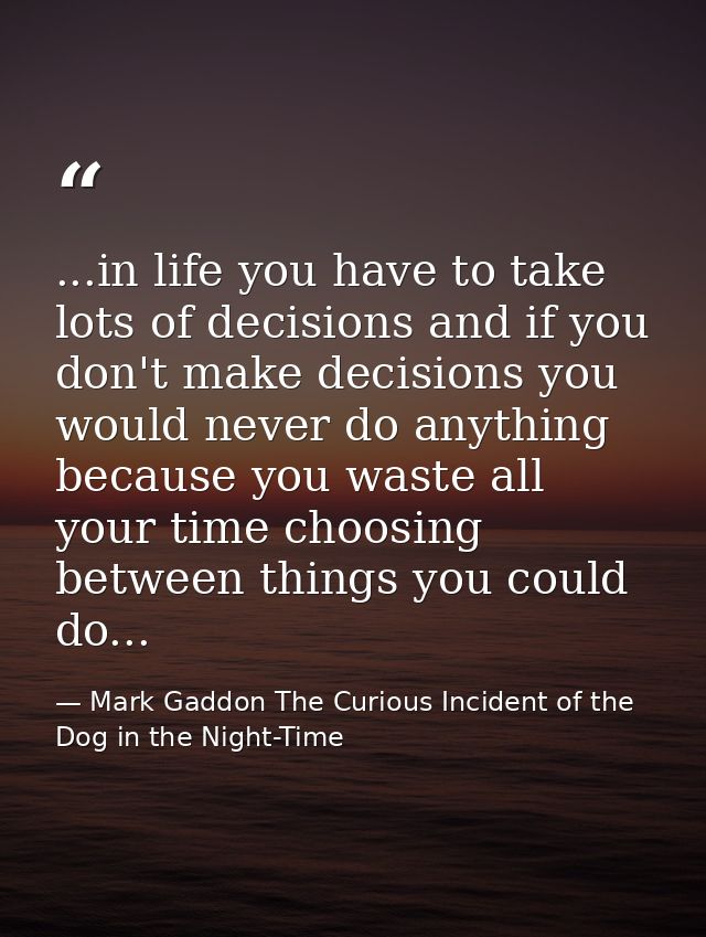 ...in life you have to take lots of decisions and if you don't make decisions you would never do anything because you wa — Mark Gaddon The Curious Incident of the Dog in the Night-Time