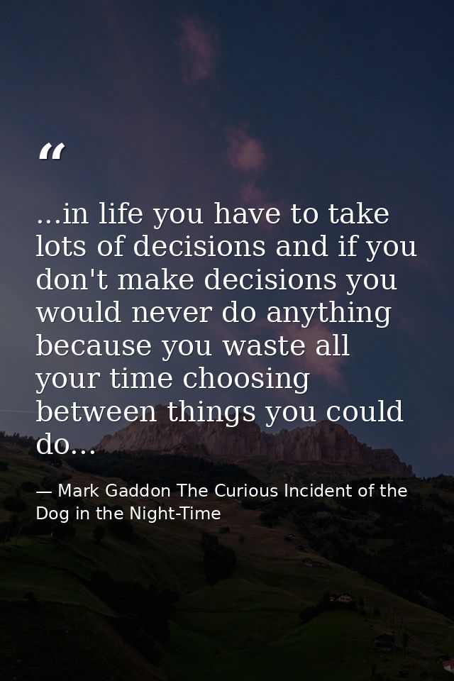 ...in life you have to take lots of decisions and if you don't make decisions you would never do anything because you wa — Mark Gaddon The Curious Incident of the Dog in the Night-Time