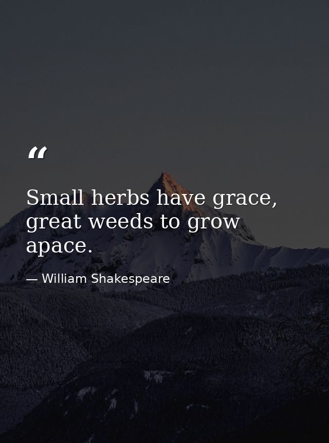 Small herbs have grace, great weeds to grow apace. — William Shakespeare