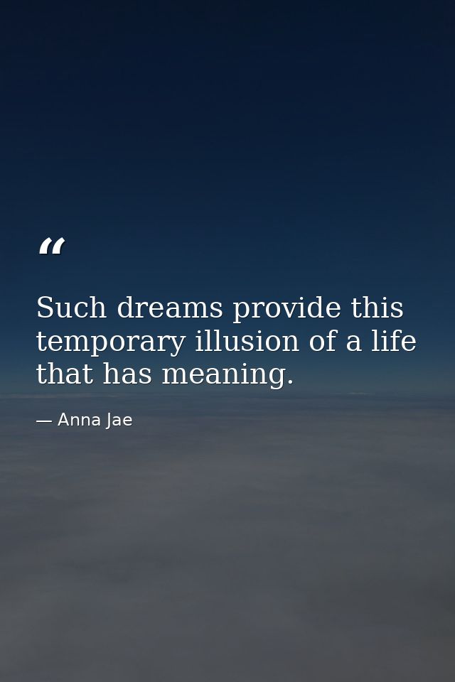 Such dreams provide this temporary illusion of a life that has meaning. — Anna Jae