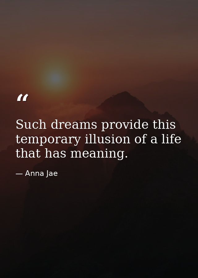 Such dreams provide this temporary illusion of a life that has meaning. — Anna Jae