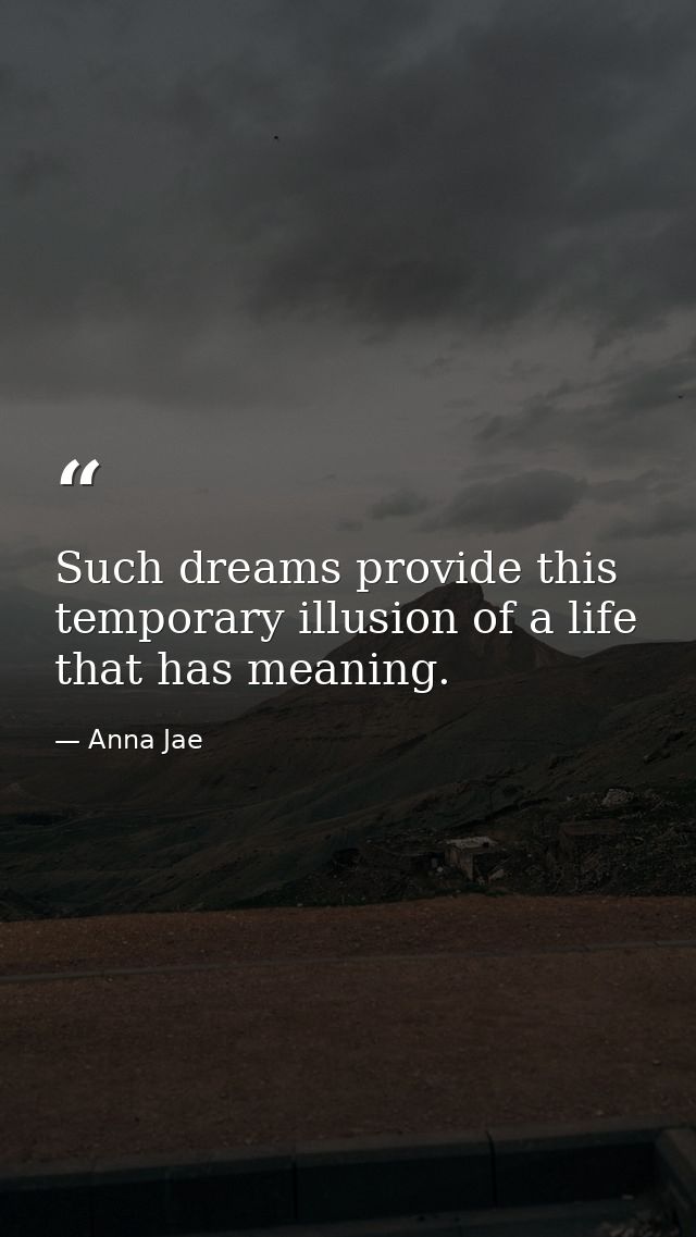 Such dreams provide this temporary illusion of a life that has meaning. — Anna Jae