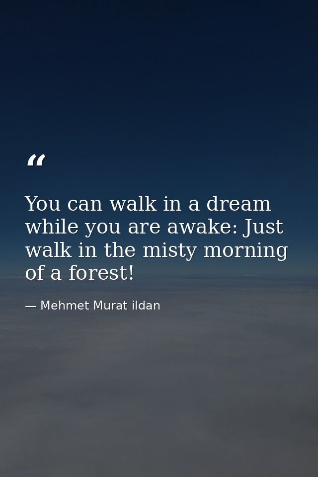 You can walk in a dream while you are awake: Just walk in the misty morning of a forest! — Mehmet Murat ildan