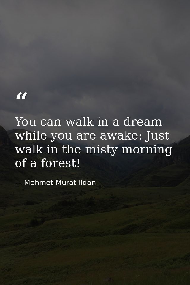 You can walk in a dream while you are awake: Just walk in the misty morning of a forest! — Mehmet Murat ildan